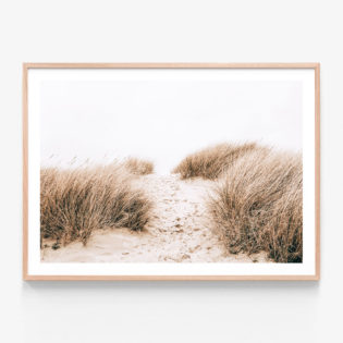 Coastal-Grass-Oak-Framed-Print