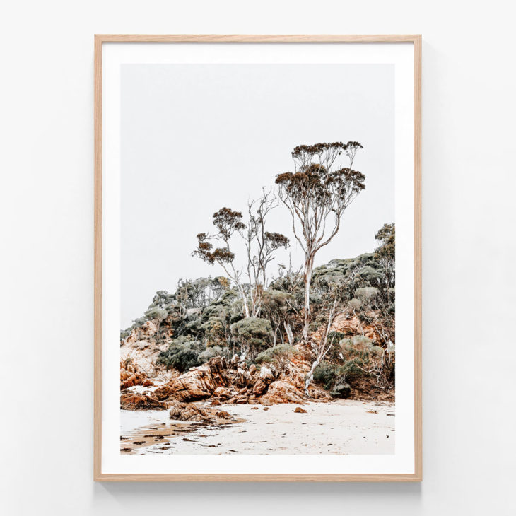 Cocora-Point-Oak-Framed-Print