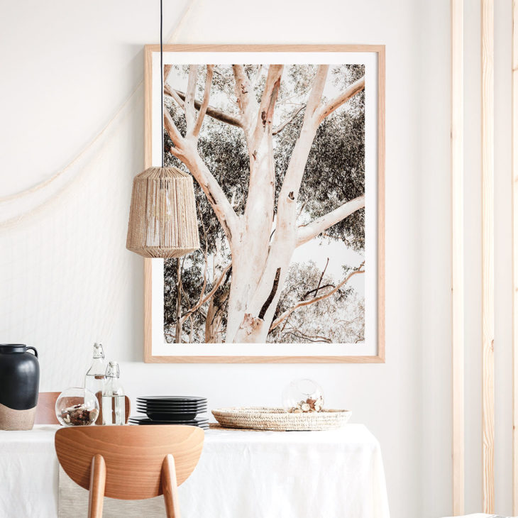 Eucalyptus-Boughs-Framed-Print-Lifestyle