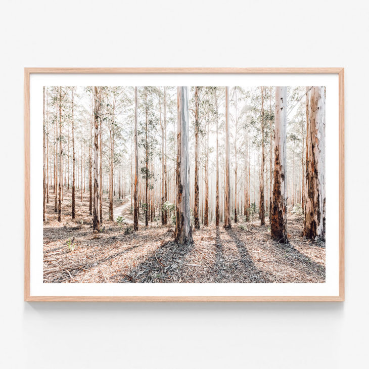 Eucalyptus-Landscape-Oak-Framed-Print
