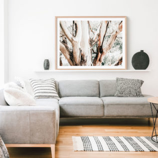 Eucalyptus-Trunk-Framed-Print-Lifestyle