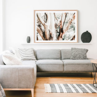 Eucalyptus-Trunk-Framed-Print-Lifestyle