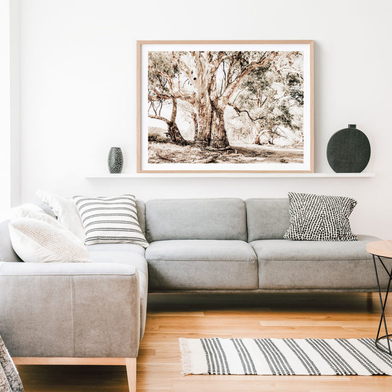 Flinders Ranges Framed Print or Poster Wall Art 41 Orchard