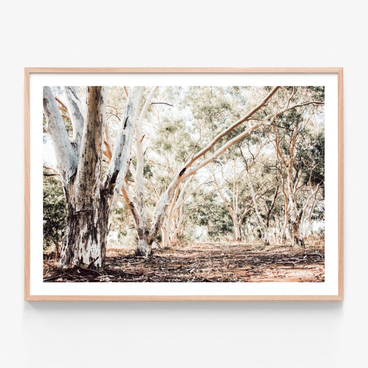 Forest-Path-Oak-Framed-Print