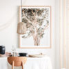 Grand-Eucalyptus-Framed-Print-Lifestyle