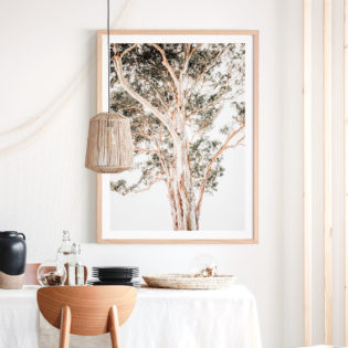 Grand-Eucalyptus-Framed-Print-Lifestyle