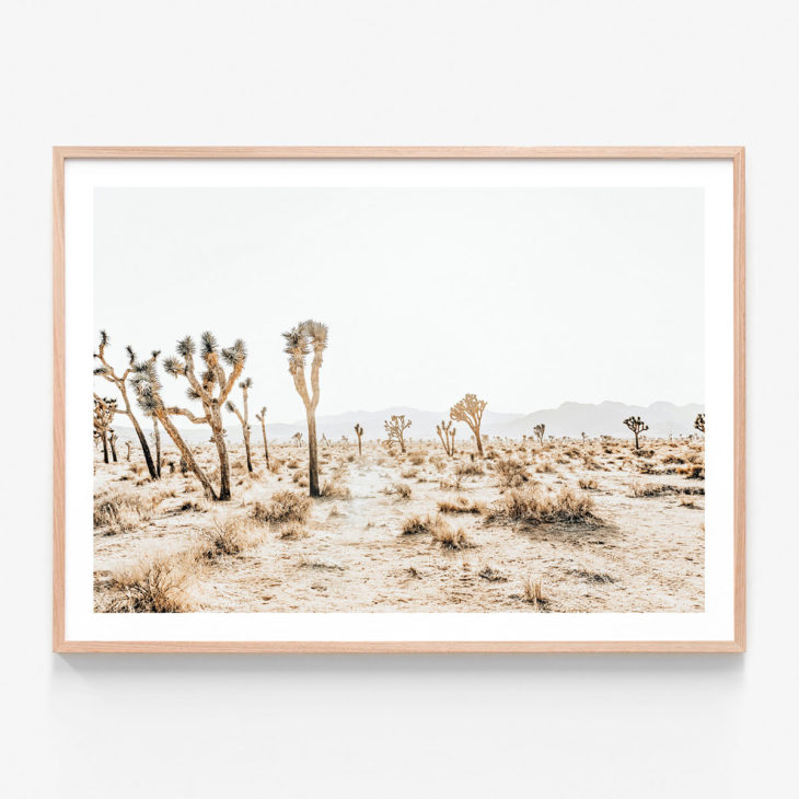 Joshua-Tree-5-Oak-Framed-Print