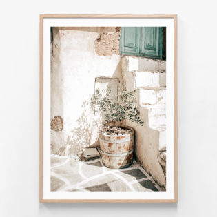 Olive-Tree-Oak-Framed-Print
