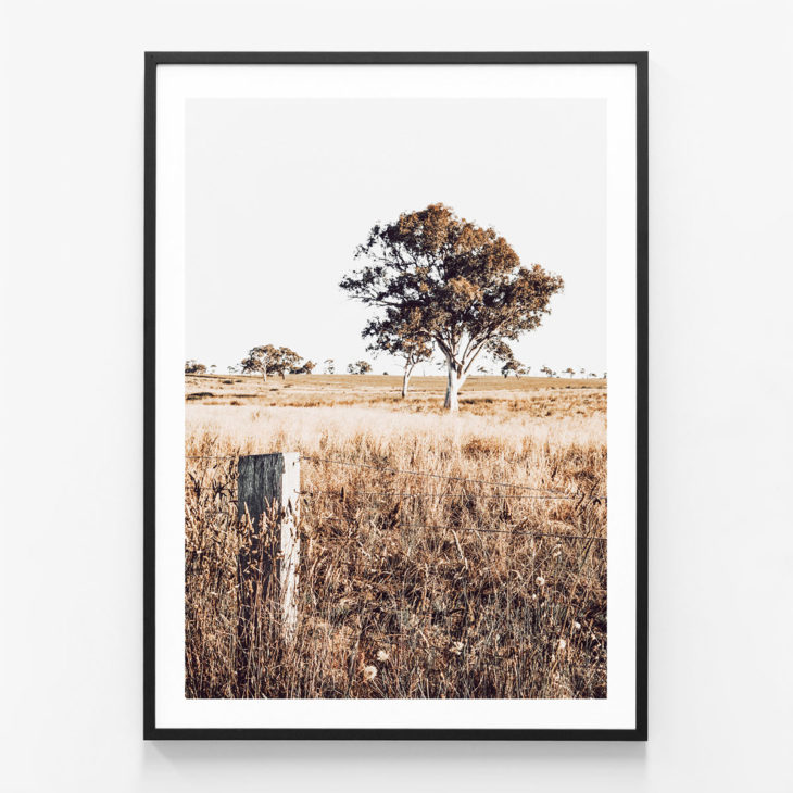 Outback-View-Black-Framed-Print