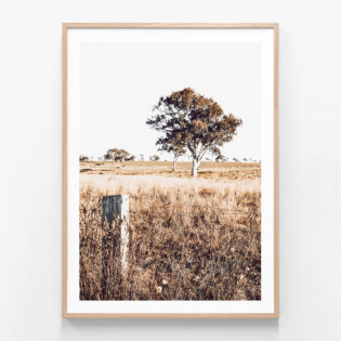 Outback-View-Oak-Framed-Print