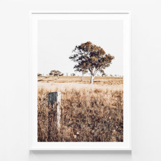 Outback-View-White-Framed-Print