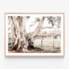 Rural-Australia-Oak-Framed-Print