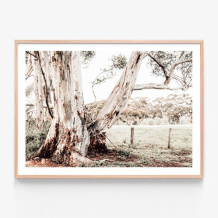 Rural-Australia-Oak-Framed-Print