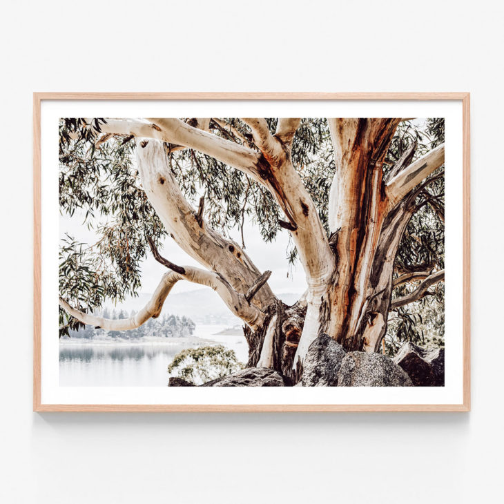 Snowy-Mountains-Oak-Framed-Print