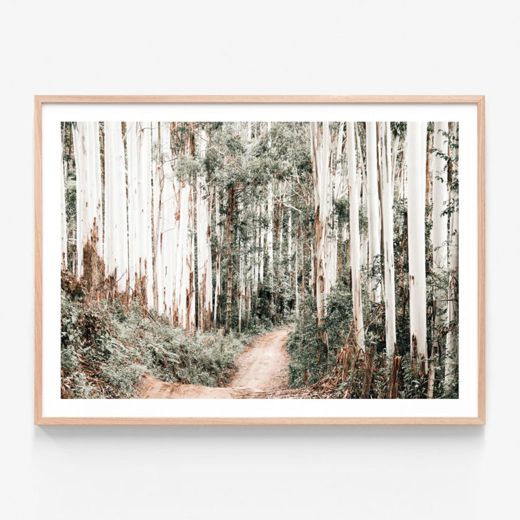 Through-The-Forest-Oak-Framed-Print