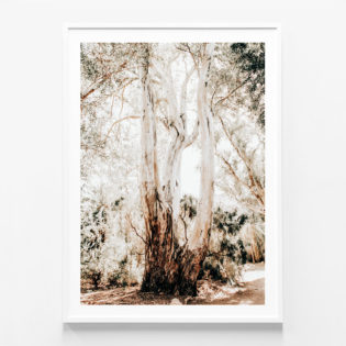 Towering-Gum-White-Framed-Print