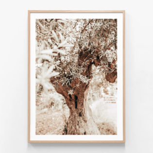 Vintage-Grove-Oak-Framed-Print