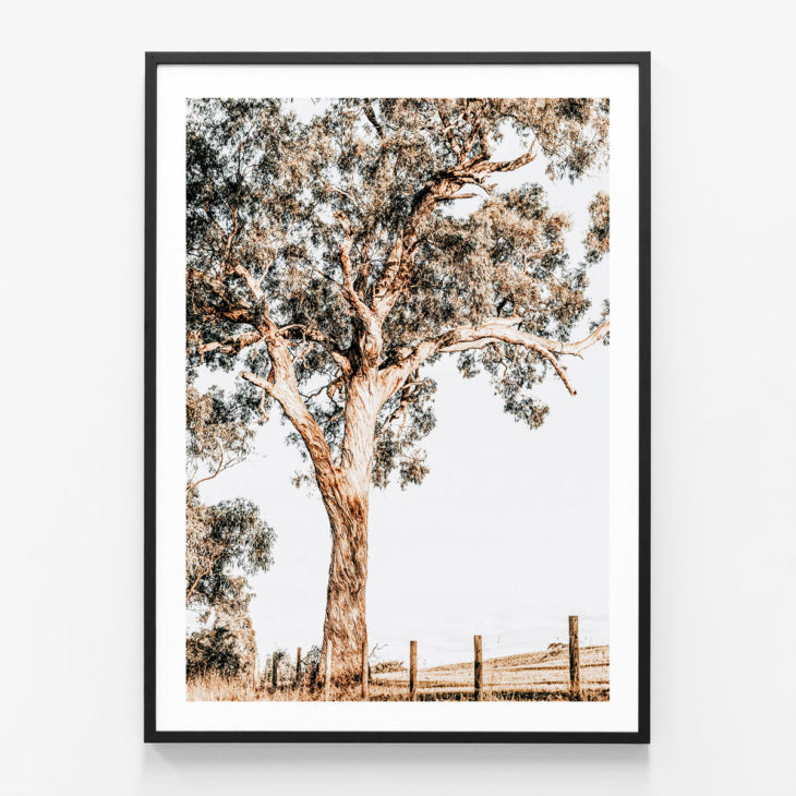 Yarra-Valley-Black-Framed-Print