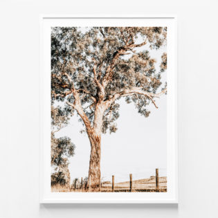 Yarra-Valley-White-Framed-Print